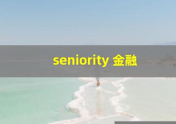 seniority 金融